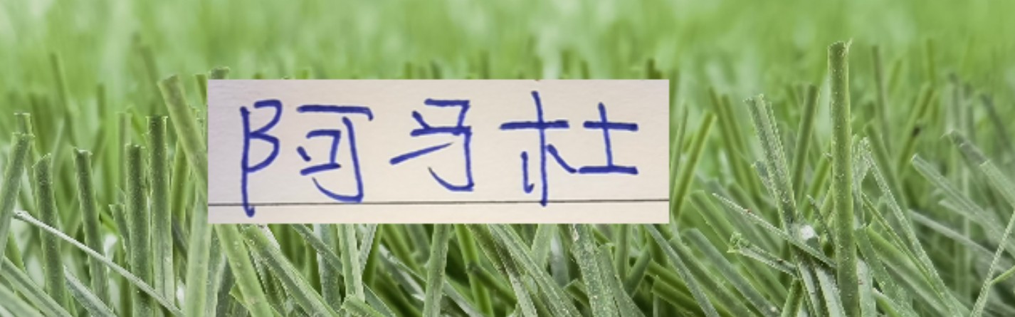 爱游戏体育官方网站-想不到！连阿马杜离开申花 都引起争议 期待他在重庆穿10号表现吗