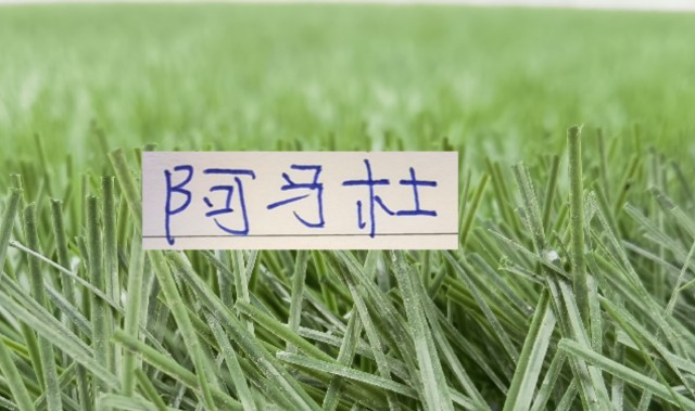 爱游戏体育官方网站-想不到！连阿马杜离开申花 都引起争议 期待他在重庆穿10号表现吗